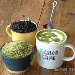 (写真左下から時計回り)「苔 -BONSAI-パフェ」¥490、「BONSAIティラミス ~芽吹き~」¥490、「抹茶ラテ -BONSAI-」¥480【モデルプレス】