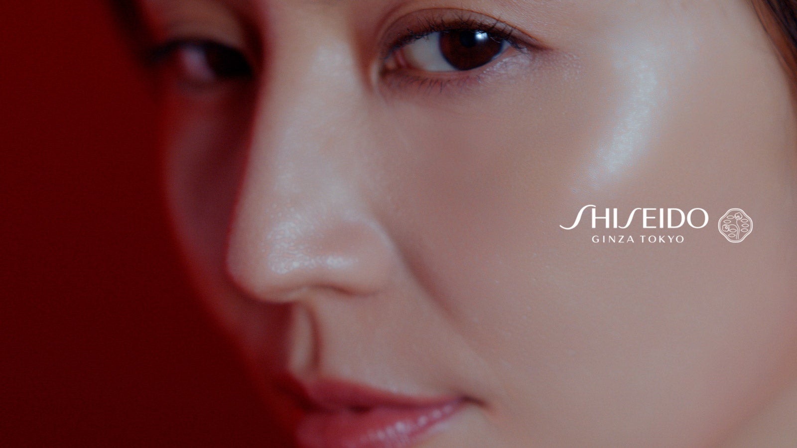 長澤まさみ（提供写真）