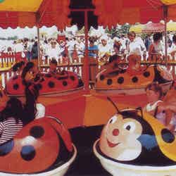 <レディー・バード>てんとう虫が追いかけっこするような
ラウンド・ライド/画像提供:横浜赤レンガ