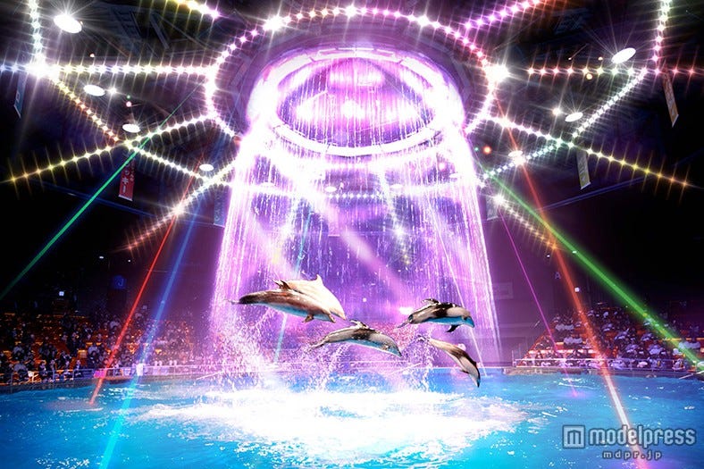 都心の人気水族館が来夏リニューアルオープン 新たな展示やカフェ&バーが登場