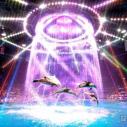 「エプソン 品川アクアスタジアム」がリニューアルオープン【モデルプレス】