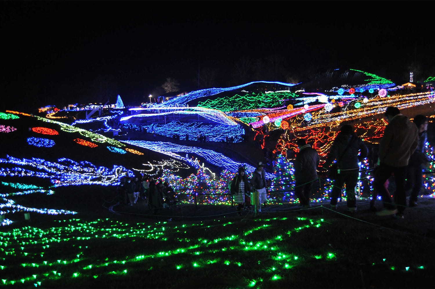 四国のイルミといえばここ!「ウィンターファンタジー」55万球の輝きで描く光の地上絵