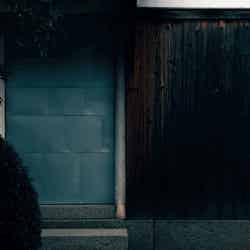 足るを知る木洩れ日る/画像提供:studioKANRO