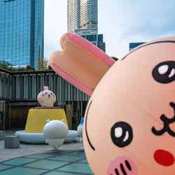 「CHIIKAWA DAYS」/提供画像