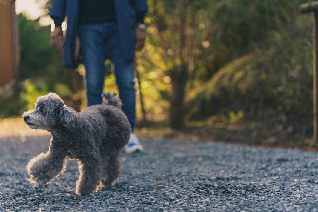 るうふ 杉之家／画像提供：るうふ