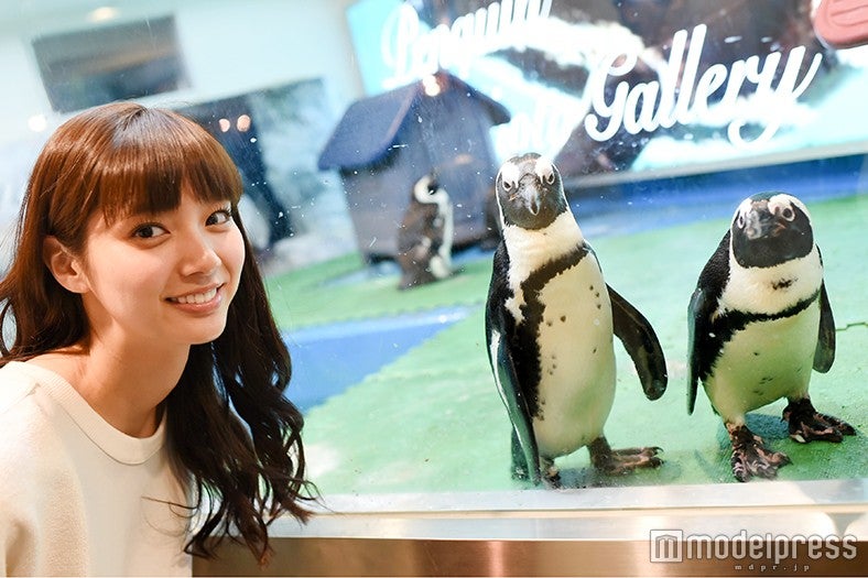 新川優愛（C）モデルプレス