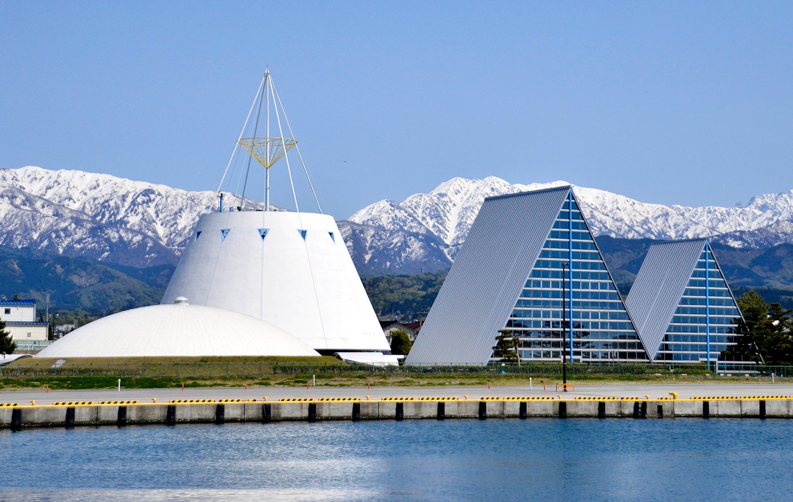 魚津埋没林博物館／画像提供：魚津埋没林博物館
