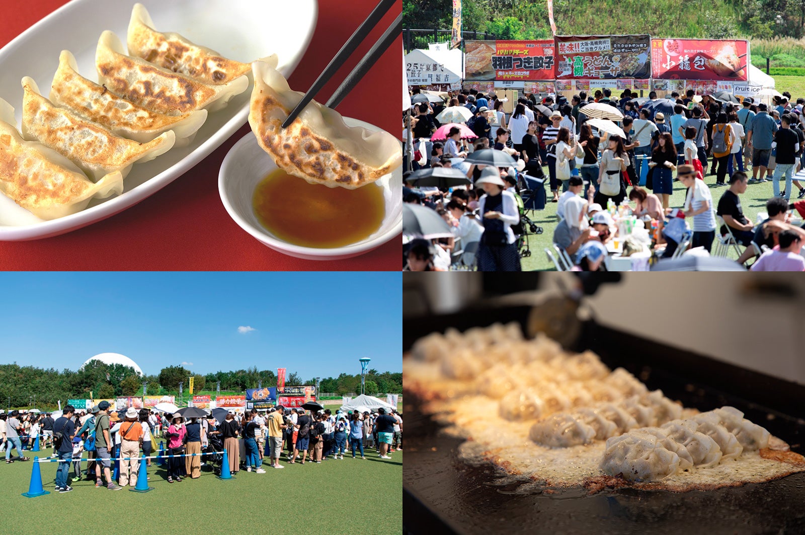 「全日本ぎょうざ祭り2020春」宇都宮や浜松の肉汁餃子を食べ尽くし