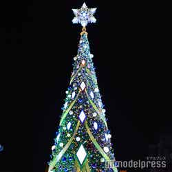 NO LIMIT! パーティ・ツリー(C)モデルプレス