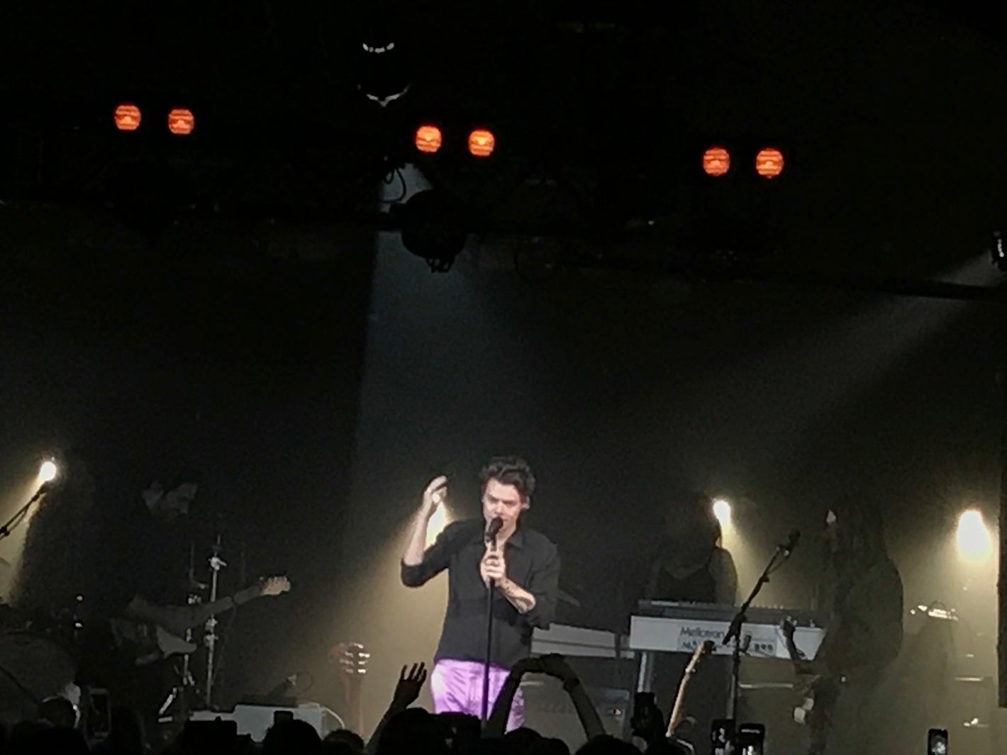 ハリー・スタイルズ／モデルプレス独占写真（提供画像）