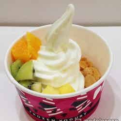 日本初のセルフスタイルフローズンヨーグルト専門店「パーティーランド」も