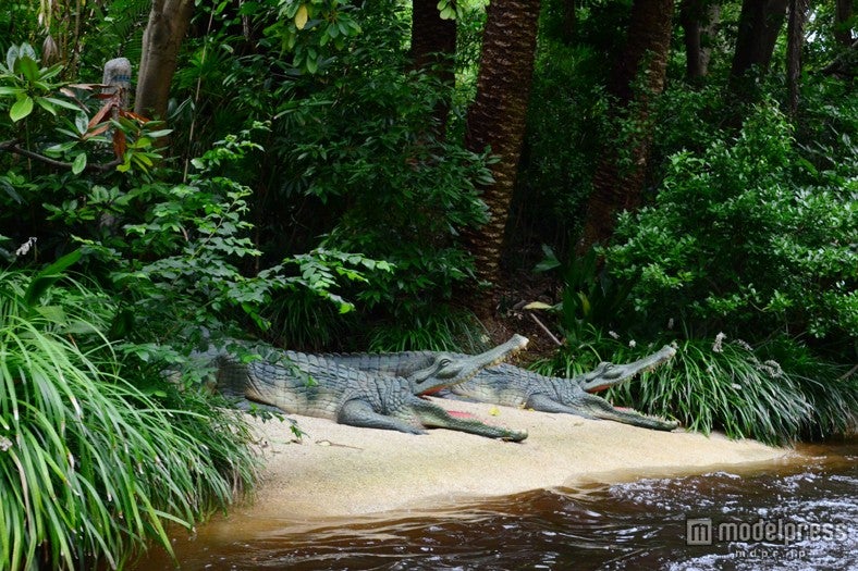 ワニの兄弟「スマイリーブラザーズ」／「ジャングルクルーズ：ワイルドライフ・エクスペディション」