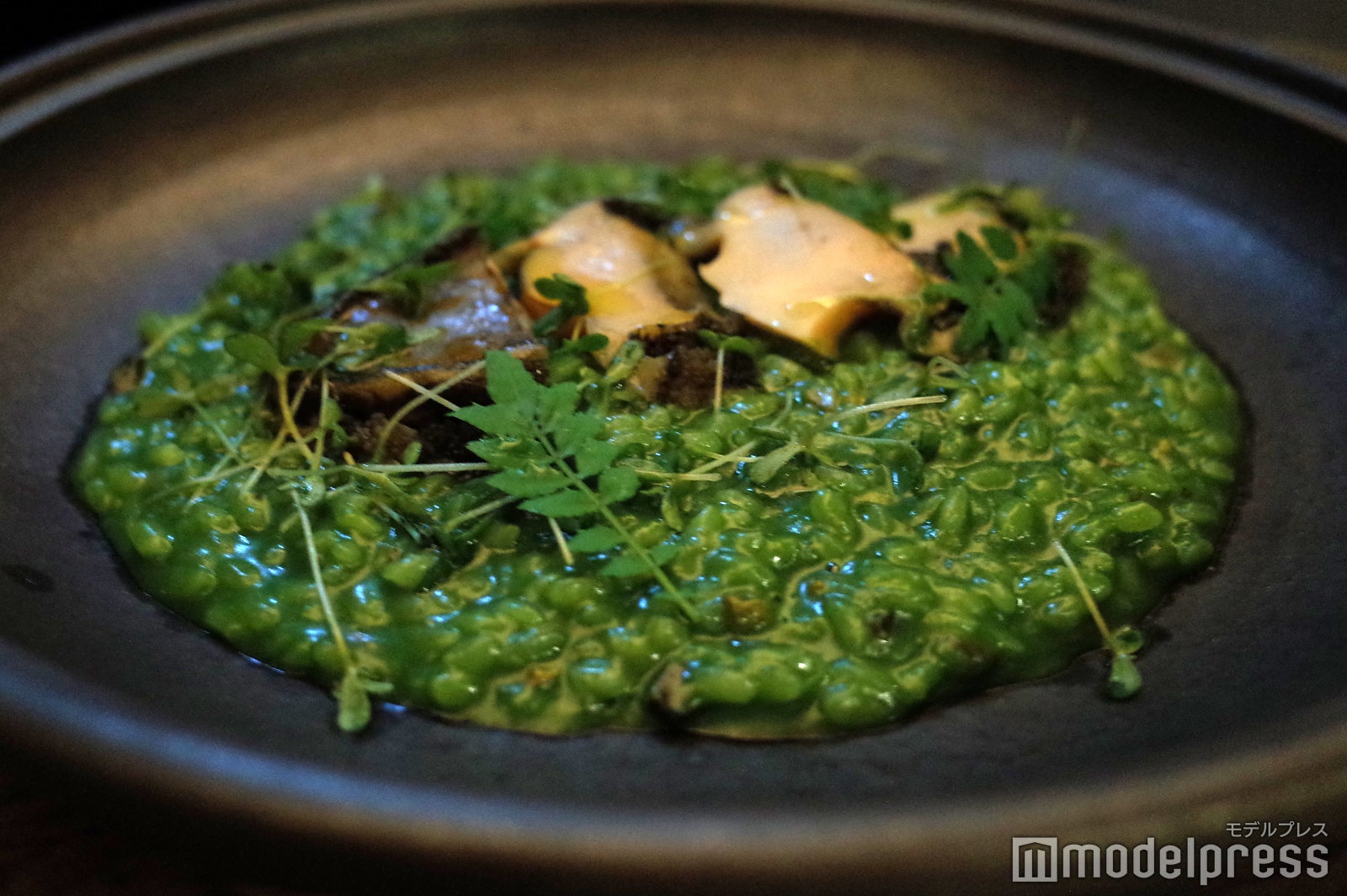 ふふ 軽井沢 陽光の風（C）モデルプレス