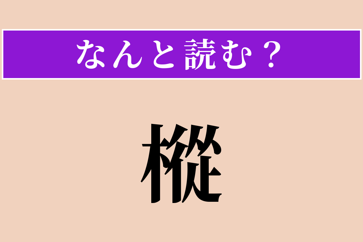 【難読漢字】「樅」正しい読み方は？ 冬といえば！な木です