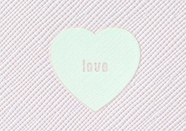 宝島社　雑誌　ムック本　付録　テリが本気で作った！