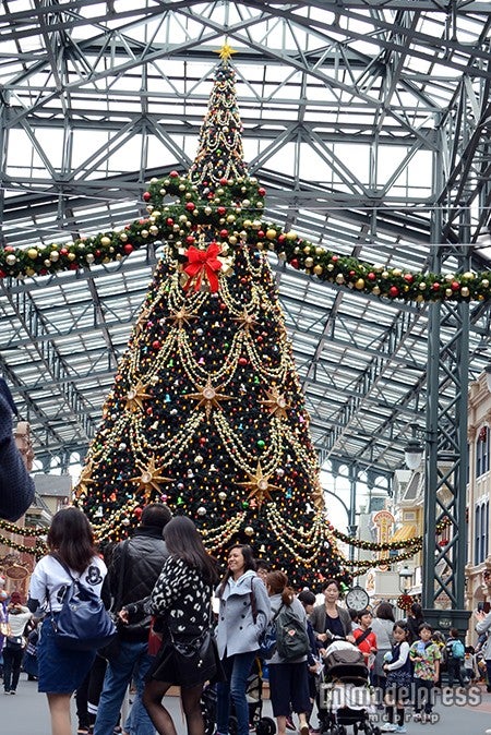 クリスマスツリーの前はたくさんの人だかりが