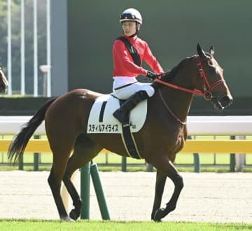 “まめちゃん”ことスティルアイライズが中央競馬を抹消 地方競馬移籍検討 ウオッカとダイワスカーレットの血を受け継ぐ牝馬
