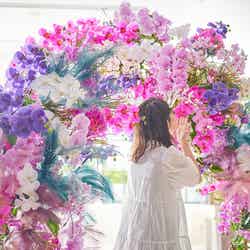 エキゾチックスイーツガーデン/画像提供:ベストホスピタリティーネットワーク