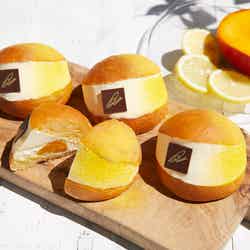 マリトッツォ リモーネ &
マンゴー 持ち帰り価格 520円 店内価格 530円/画像提供:スターバックス コーヒー ジャパン