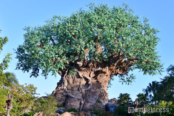 「ツリー・オブ・ライフ」(C)モデルプレス(C)Disney