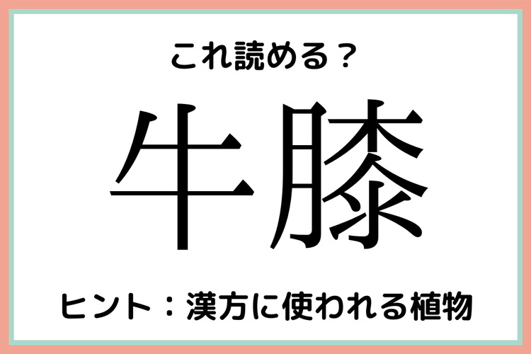 牛膝 うしひざ 読めたらスゴイ 植物の難読漢字 4選 モデルプレス 牛膝 うしひざ 読めたらスゴイ 植物の難読漢字 4選 モデルプレス