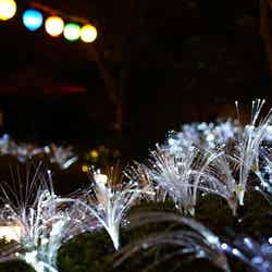 ファイバーフラワーイルミネーション/画像提供:株式会社ネイキッド