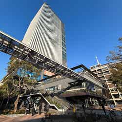 新施設「BASEGATE横浜関内」キープレーヤーはDeNA? スポーツ主軸の再開発で輝き取り戻す