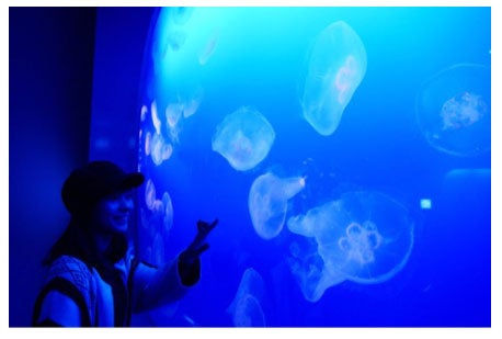 芳根京子と海月／芳根京子オフィシャルブログ（Ameba）より