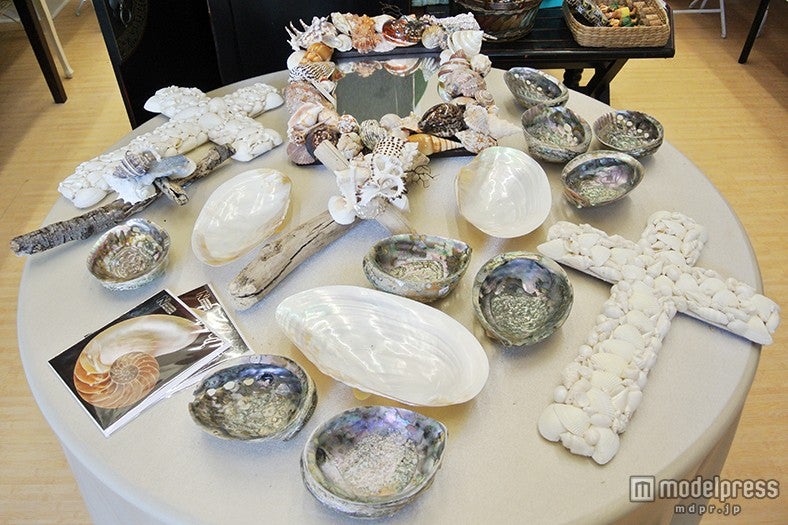 本物のシェルを使った雑貨