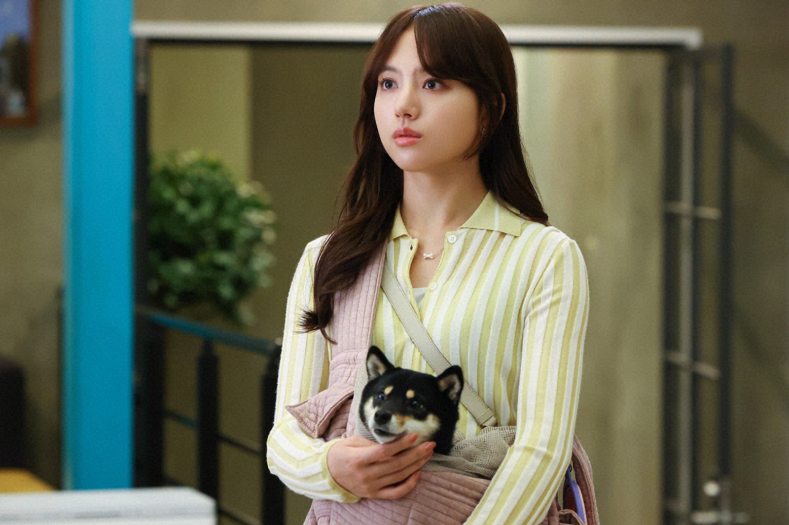 清原果耶「初恋DOGs」第3話（C）TBS