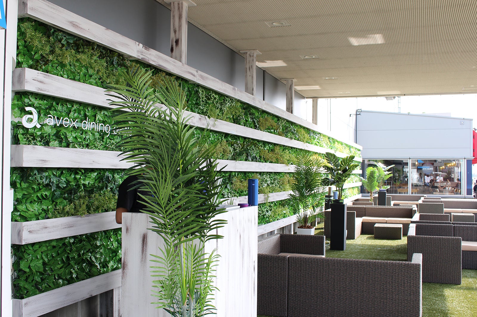 avex dining oasis-エイベックス・ダイニングオアシス-（提供画像）