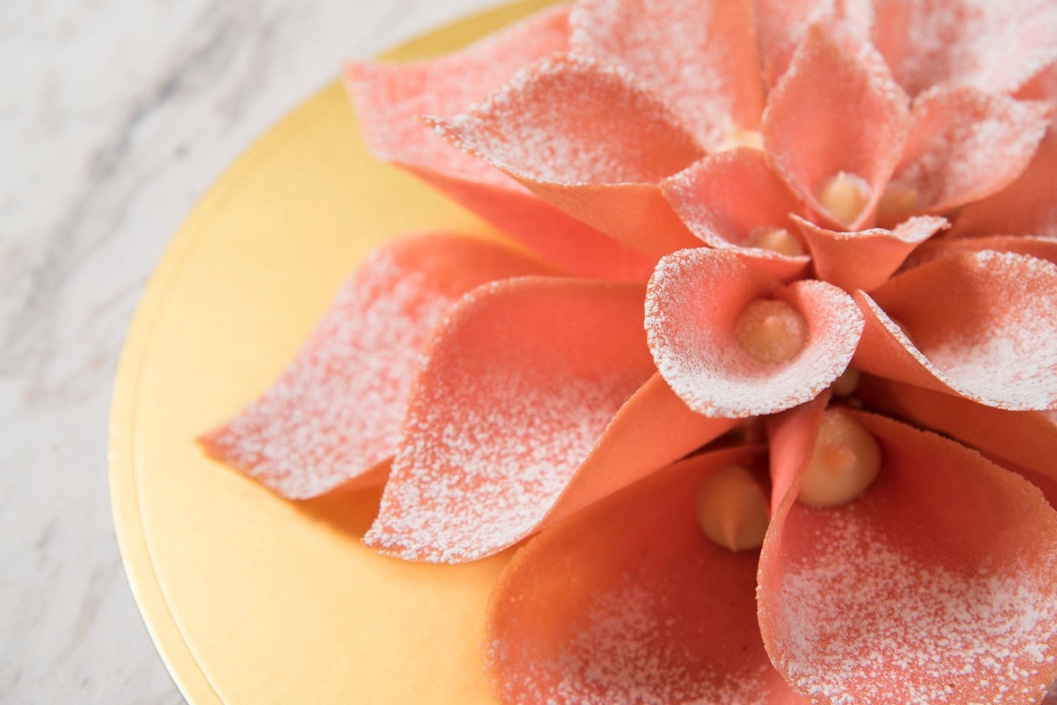 元祖“クロナッツ”生みの親「ドミニクアンセルベーカリー」銀座に2号店オープン