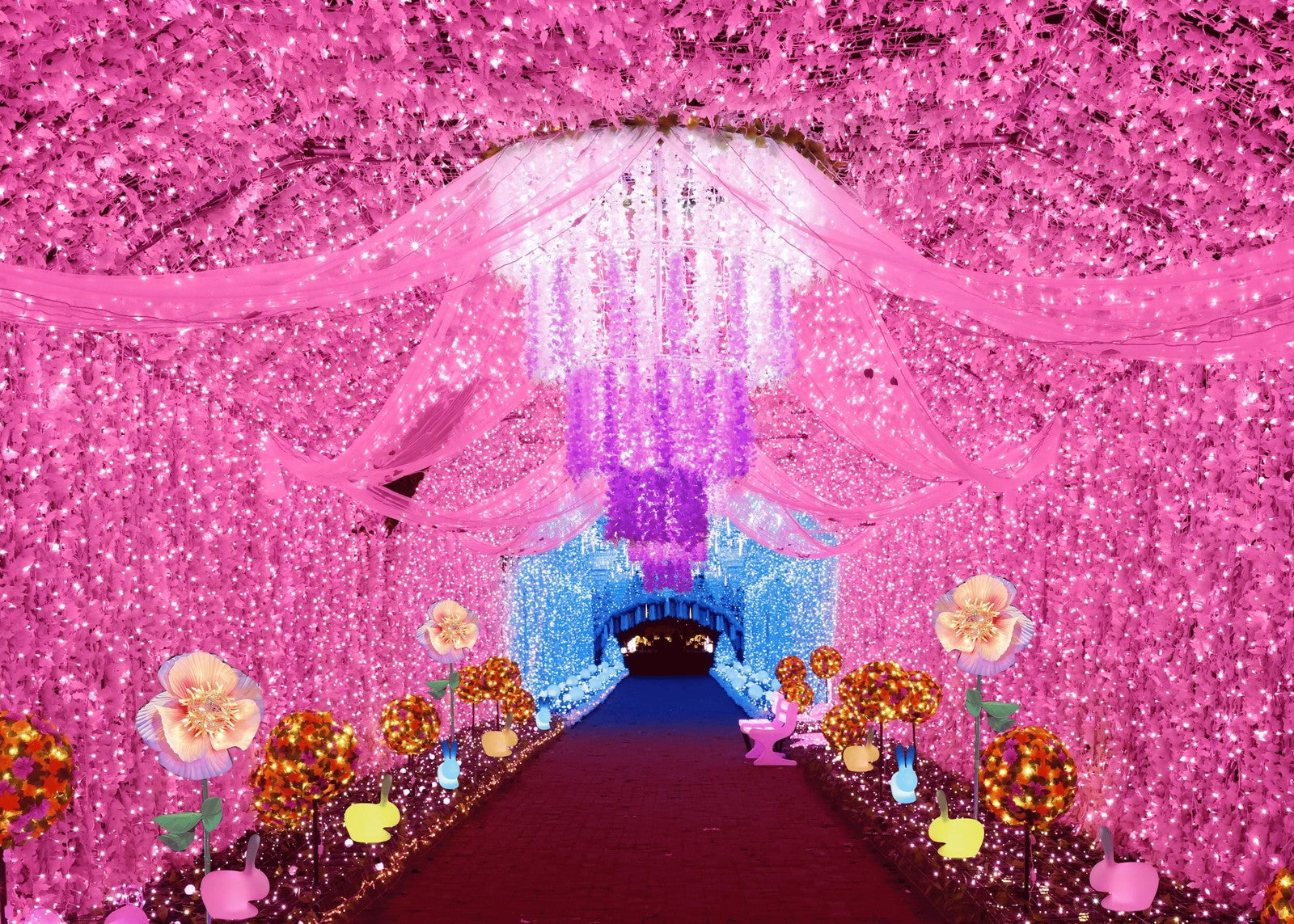 ひかりのすみか（提供写真）