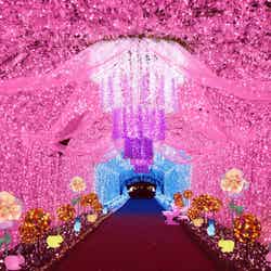 ひかりのすみか(提供写真)