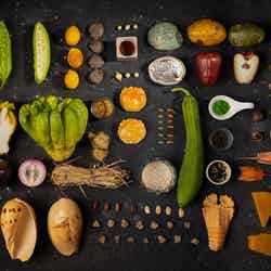 ネン(Nen)/提供画像