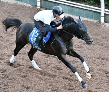 【関屋記念】ファーヴェント 逆襲へ万全 10回目の挑戦で悲願のタイトル奪取へ 陣営も納得「いい動き」