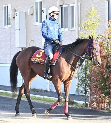 G1.3勝馬エンブロイダリーは仏G1ジャックルマロワ賞を見送って秋に備える 前走ヴィクトリアM制覇