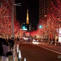 暖色系のイルミネーション“CANDLE&RED”