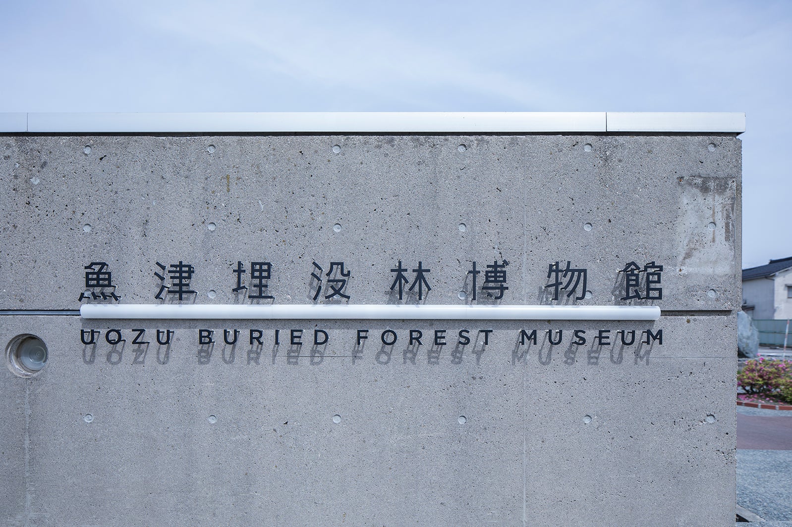 魚津埋没林博物館／画像提供：KININAL