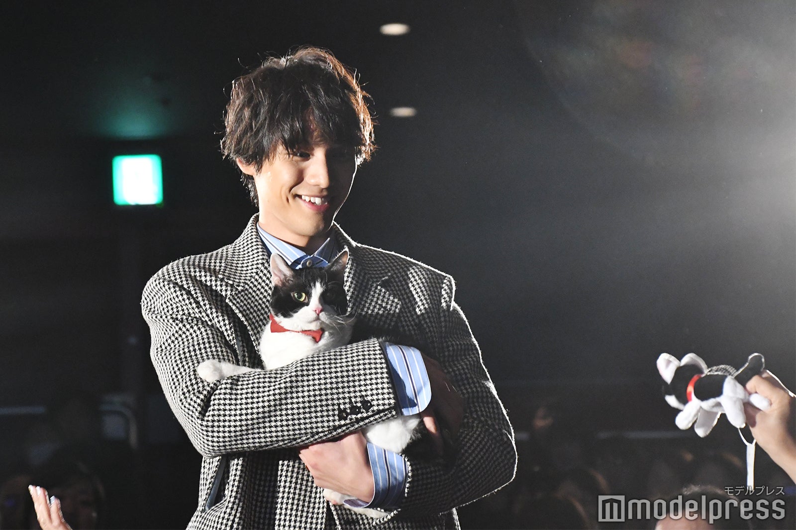 福士蒼汰と主演猫のナナ （C）モデルプレス