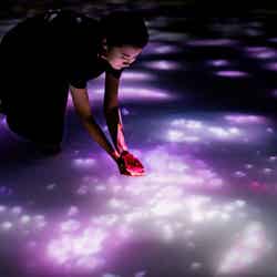 人と共に踊る鯉によって描かれる水面のドローイング - Infinity/画像提供:チームラボ