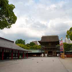 筥崎宮/R0016475 by nyaka31