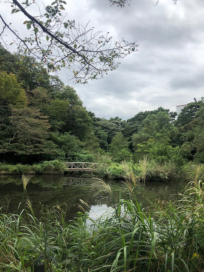 国立科学博物館 附属自然教育園1