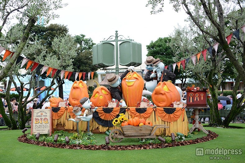 デコレーション／パンプキンのサイズを測り品評会