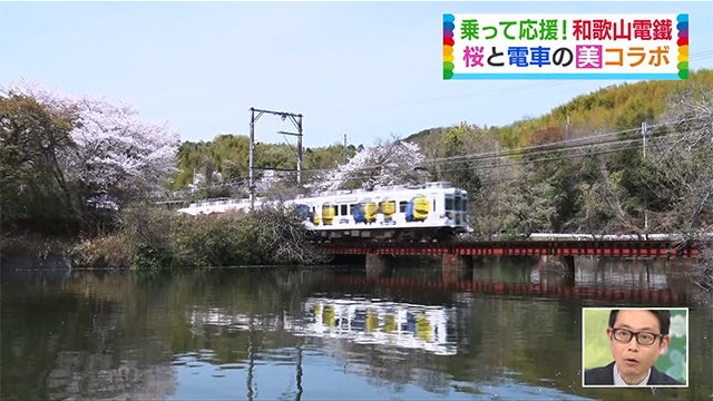 いちご、うめぼし…？バリエーションが豊か過ぎるローカル電車【和歌山・貴志川線編】