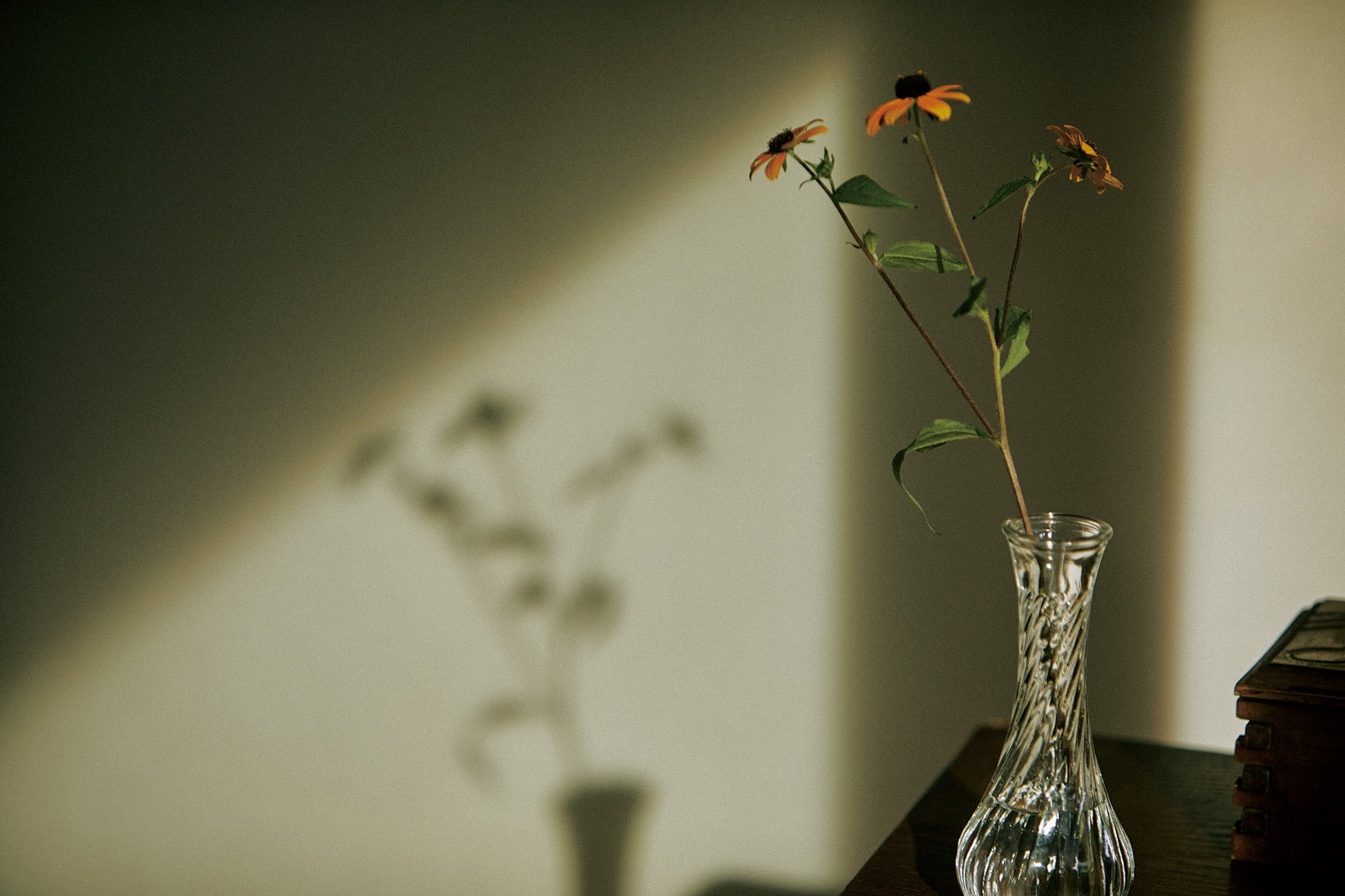 「百花」場面写真（C）2022「百花」製作委員会