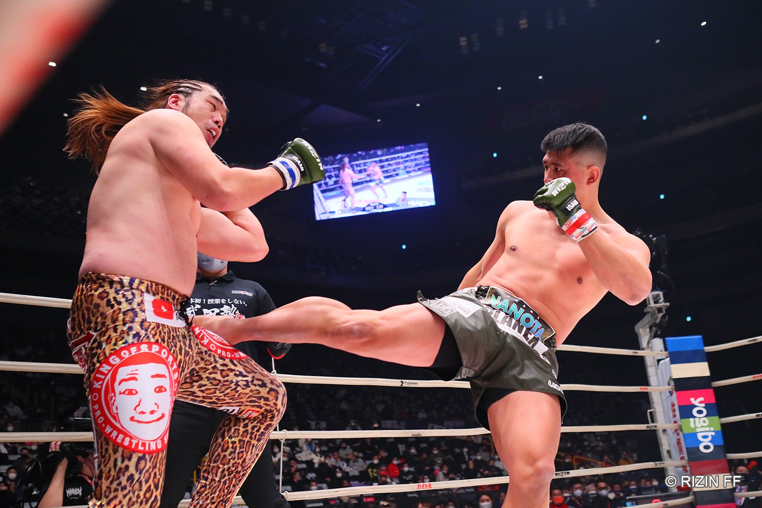 シバターVSHIROYA（C）RIZIN FF