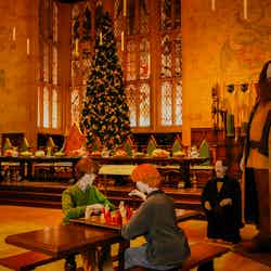 ホグワーツ・イン・ザ・スノー(提供写真)