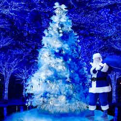 渋谷イルミ「青の洞窟」でホワイトクリスマス　雪が幻想的な世界へ誘う／画像提供：日清フーズ