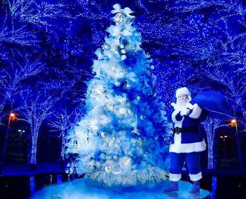 渋谷イルミ「青の洞窟」でホワイトクリスマス 雪が幻想的な世界へ誘う